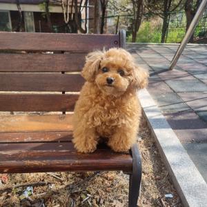 프로필 사진