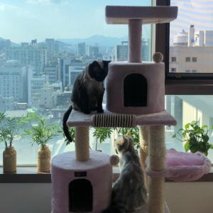 프로필 사진